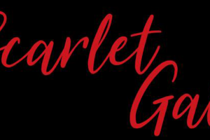 Scarlet Gala 2017